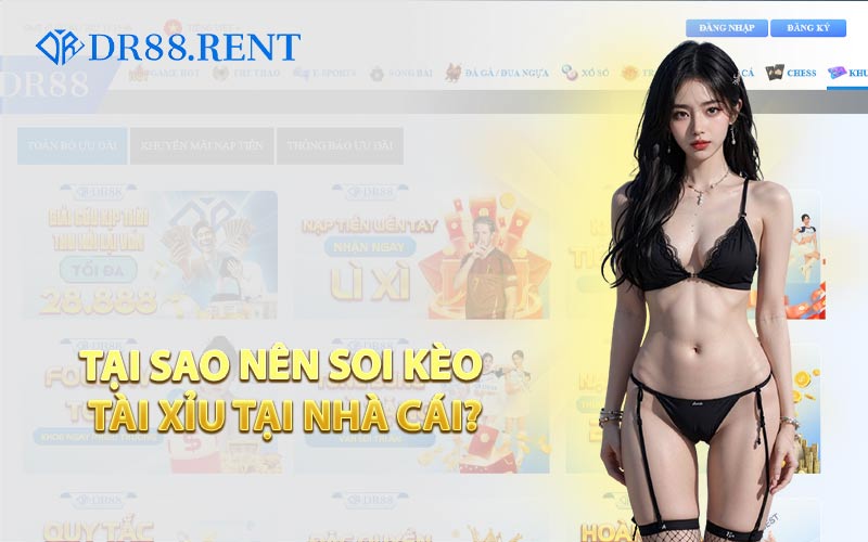 Tại Sao Nên Soi Kèo Tài Xỉu Tại Nhà Cái?