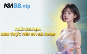 Trải Nghiệm Xem Trực Tiếp Đá Gà KM88